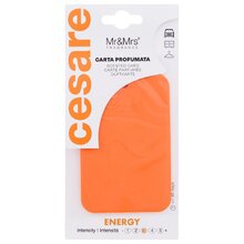 Cesare Scented