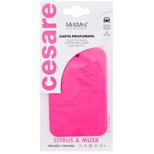 Cesare Scented