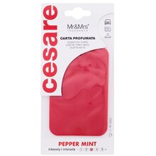 Cesare Scented